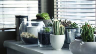 How Are Indoor Air Pollutants Monitored?