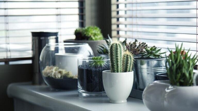 How Are Indoor Air Pollutants Monitored?