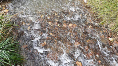 Water level datalogger helps ensure climate change readiness