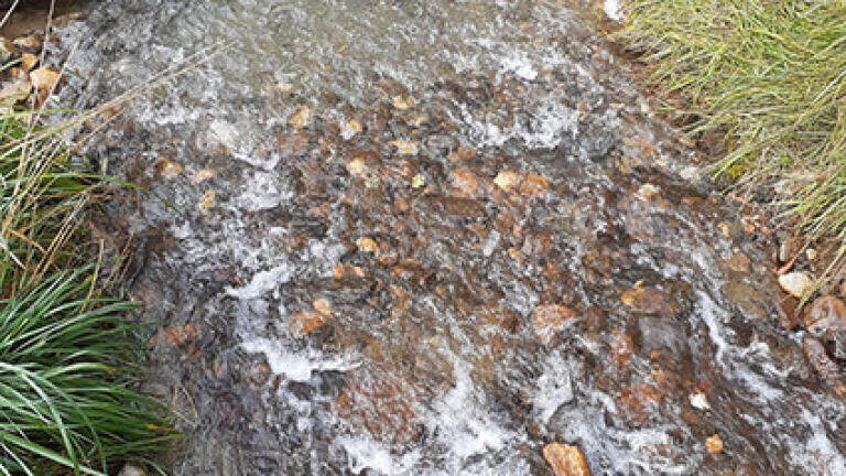 Water level datalogger helps ensure climate change readiness