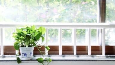 How Does Indoor Air Quality Impact Public Health?