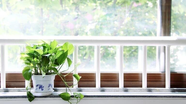 How Does Indoor Air Quality Impact Public Health?