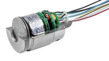 Plug and play gas detection heads with integral analogue and digital output