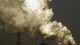 Biogenic carbon measurement
