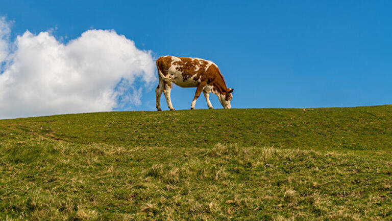 A review of agricultural practices can reduce methane and nitrous oxide emissions