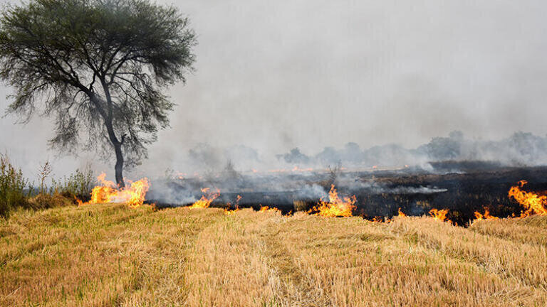 Stubble buring is a poor utilisation of bio-energy