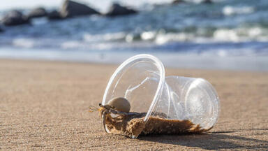 Microplastics threaten biodiversity of marine life