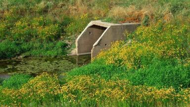 How Does Wastewater Epidemiology Work?