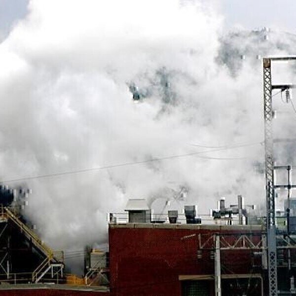 Cows, Coal and Scrap: Where Methane Emissions Come From - Vimarsana News