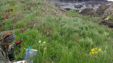 Novel source of the strong greenhouse gas nitrous oxide found in Siberian permafrost