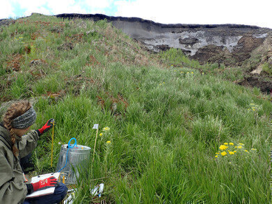 Novel source of the strong greenhouse gas nitrous oxide found in Siberian permafrost