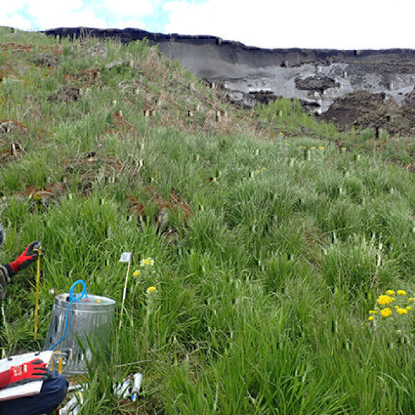 Novel source of the strong greenhouse gas nitrous oxide found in Siberian permafrost - Vimarsana News