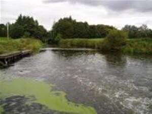 Public Health Threatened by Heavily Polluted Rivers, Committee Says