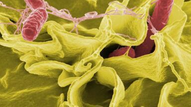 12 Diseases Caused by Water Pollution