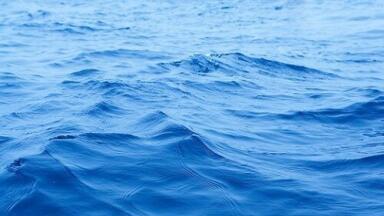 Parasite in Polluted Welsh River Attacks Swimmer