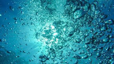 A Simple Guide to Micropollutants - Types, Sources & Removal