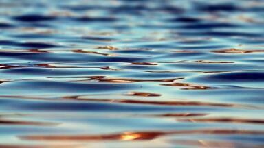 Why Are Micropollutants Harmful?