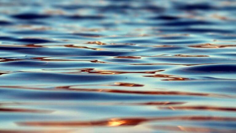 Why Are Micropollutants Harmful?