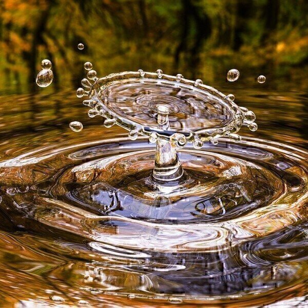 What Are Organic Micropollutants? - Vimarsana News