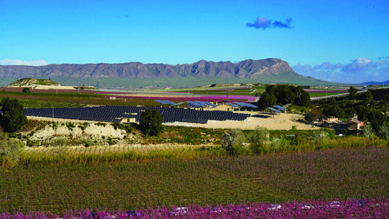 A landscape pink with peach blossoms. Recycling wastewater for irrigation allows Murcia to produce a bountiful harvest of fruit and vegetables from what otherwise would be scorched land.