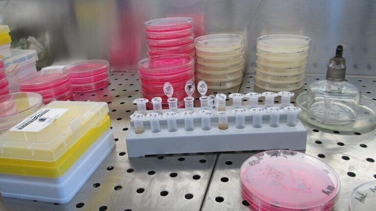 How Are Micropollutants Measured?