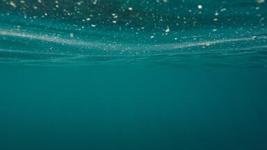Are Micropollutants on the Rise?