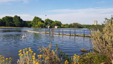 Advanced water quality monitor installed in the Serpentine