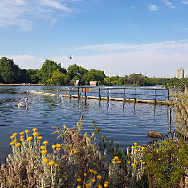 Advanced water quality monitor installed in the Serpentine - Vimarsana News