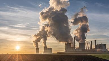 Where Do Amine Emissions Come From?