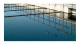 Marine Management Organisation approved PBDE analysis on Marine Sediments