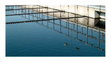Marine Management Organisation approved PBDE analysis on Marine Sediments