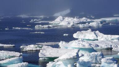 How Does Black Carbon Impact the Environment?