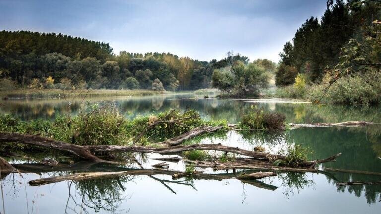 How Is River Catchment Monitored?