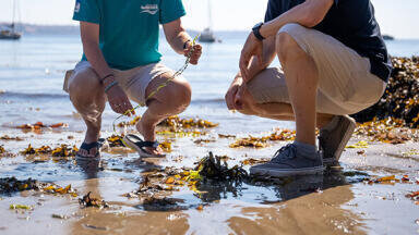 Seabed conservation project receives boost from Valeport