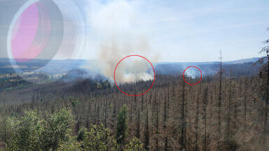 Automatic forest fire detection system with AI enables early and efficient firefighting