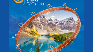 See Semivolatiles Clearly with Rugged, Reliable Rxi-SVOCms Columns