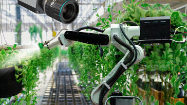 How to use artificial intelligence in image processing tasks
