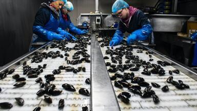 What Is Environmental Monitoring in the Food Industry?