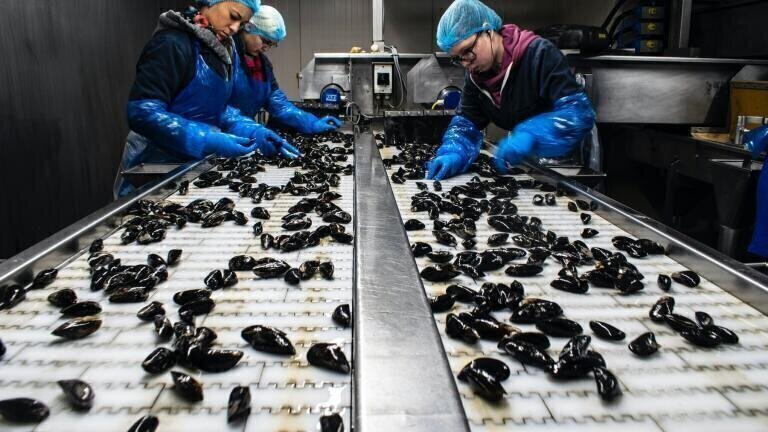 What Is Environmental Monitoring in the Food Industry?