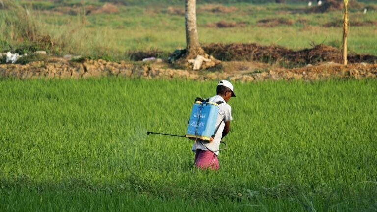 How Do Pesticides Affect the Environment?