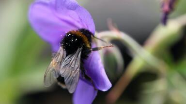 Are All Pesticides Toxic?