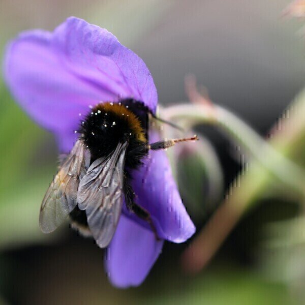 Are All Pesticides Toxic? - Vimarsana News