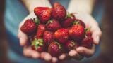 How Is Food Tested for Pollutants?