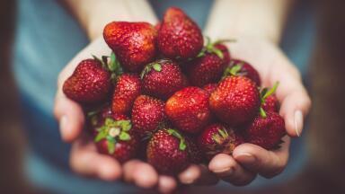 How Is Food Tested for Pollutants?