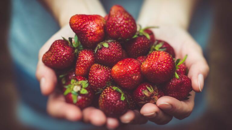 How Is Food Tested for Pollutants?