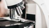 What Do FW&E Laboratories Do?