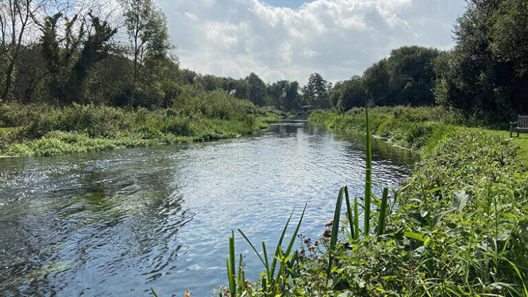 Understanding river temperature to better understand the effects of climate change  