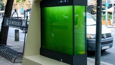 Could Liquid Trees Be a Game-Changer for Urban Air Pollution?