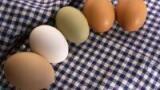 Pesticide residue in EU food samples
