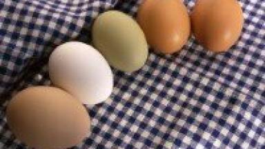 Pesticide residue in EU food samples